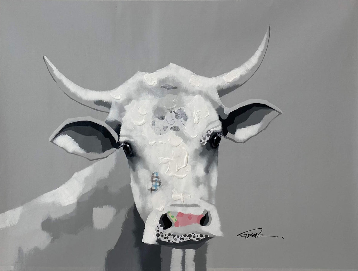 Grey_white Cow 2
