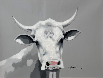 Grey_white Cow 2